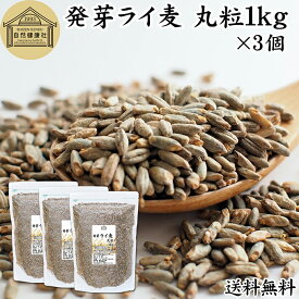 発芽ライ麦 丸粒 1kg×3個 全粒 粒 ドイツ産 ライ麦パン ライブレッド パン用 発芽 ライ麦 ナチュラル 割合 100% モルト ライムギ 保存料 無添加 大容量 業務用 食パン 製菓 製パン パン作り サラダ スープ 食材 ベーカリー レシピ 自家製 ヘルシー 菓子 クッキー スコーン