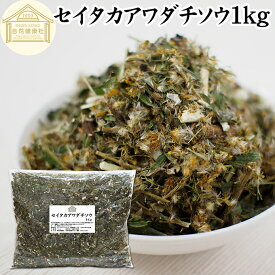 セイタカアワダチソウ 1kg 花 つぼみ 乾燥 茎 葉 国産 100% 無農薬 無添加 ゴールデンロッド ポリフェノール クロロゲン酸 健康茶 入浴剤 風呂 お風呂 薬草茶 薬膳茶 材料 食物繊維 農薬不使用 美肌 妊婦 妊活 温活 入浴 健康 美容 薬草 ハーブ 手摘み 雑草 人気 自然農法