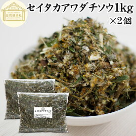 セイタカアワダチソウ 1kg×2個 花 つぼみ 乾燥 茎 葉 国産 100% 無農薬 無添加 ゴールデンロッド ポリフェノール クロロゲン酸 健康茶 入浴剤 風呂 お風呂 薬草茶 薬膳茶 材料 食物繊維 農薬不使用 美肌 妊婦 妊活 温活 入浴 健康 美容 薬草 ハーブ 手摘み 雑草 自然農法