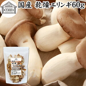 GM 60g  ̂ GM _ ̂ Y 쌧Y 100  hC Ɩp ۑ Y  LmR ̂` pX^ ]bg  X` ݂`  \o 