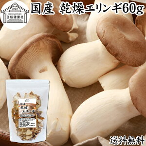 GM 60g  ̂ GM _ ̂ Y 쌧Y 100  hC Ɩp ۑ Y  LmR ̂` pX^ ]bg  X` ݂`  ǂ 