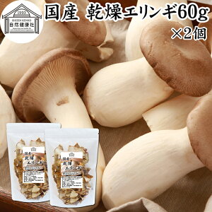 GM 60g×2  ̂ GM _ ̂ Y 쌧Y 100  hC Ɩp ۑ Y  LmR ̂` pX^ ]bg  X` ݂`  \