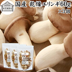 GM 60g×3  ̂ GM _ ̂ Y 쌧Y 100  hC Ɩp ۑ Y  LmR ̂` pX^ ]bg  X` ݂`  \
