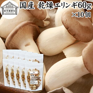 GM 60g×10  ̂ GM _ ̂ Y 쌧Y 100  hC Ɩp ۑ Y  LmR ̂` pX^ ]bg  X` ݂`  