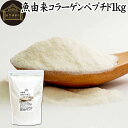魚コラーゲンペプチド 1kg 粉末 パウダー サプリ サプリメント コラーゲン ペプチド 魚 由来 フィッシュ マリン 超低分子 100% 保存料 無添加 無着色 無香料 純粋 動物性 水溶性 たんぱく質 飲料 健康 食品 美容 スキンケア collagen アミノ酸 コーヒー お茶 ジュース