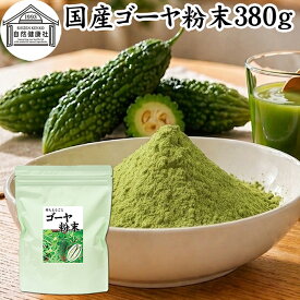ゴーヤ粉末 380g 青汁 粉末 国産 ゴーヤー茶 ゴーヤ茶 ゴーヤ パウダー 保存料 無添加 あおじる 粉末 野菜 ジュース ごーやー茶 ごーや茶 ごーやーパウダー 自然健康社 おすすめ おいしい お得 サプリメント 便利 ランキング スムージー まるごと ヴィーガン 売れ筋 丸ごと