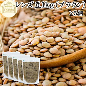 レンズ豆 ブラウン 1kg×5個 レンズマメ 100% 薄皮付 アメリカ産 皮つき レンティル レンチル ヒラマメ 保存料 無添加 乾燥豆 業務用 たんぱく質 食物繊維 鉄 亜鉛 葉酸 セレン ミネラル スーパーフード ヴィーガン ビーガン ベジタリアン マクロビオティック 着色料 不使用