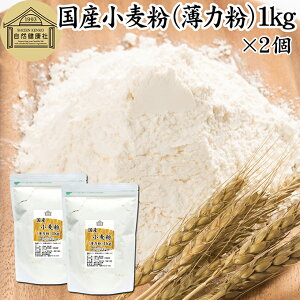  Y ͕ 1kg×2 ͏ َqp Y kCY VEX  100% ۑ Y e Ɩp X|WP[L pP[L zbgP[L }tB ACVO NbL[ JX