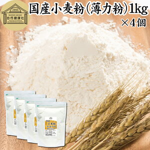  Y ͕ 1kg×4 ͏ َqp Y kCY VEX  100% ۑ Y e Ɩp X|WP[L pP[L zbgP[L }tB ACVO NbL[ JX
