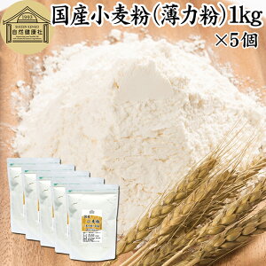  Y ͕ 1kg×5 ͏ َqp Y kCY VEX  100% ۑ Y e Ɩp X|WP[L pP[L zbgP[L }tB ACVO NbL[ JX