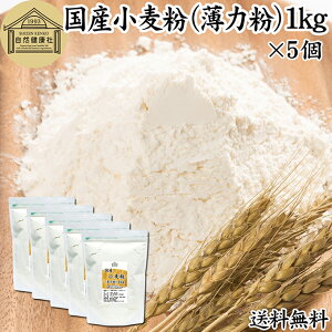  Y ͕ 1kg×5 ͏ َqp Y kCY VEX  100% ۑ Y e Ɩp X|WP[L pP[L zbgP[L }tB ACVO NbL[ JX