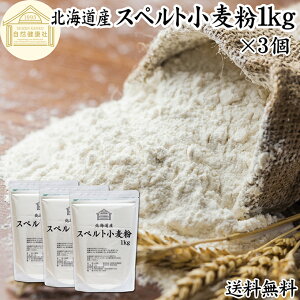 Xyg 1kg×3 Xyg Y kCY 100% ۑ Y Ñ㏬   Ñ㍒ fBP AM[ fBP e Ɩp p ِp p ޗ 