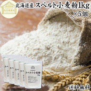 Xyg 1kg×5 Xyg Y kCY 100% ۑ Y Ñ㏬   Ñ㍒ fBP AM[ fBP e Ɩp p ِp p ޗ 