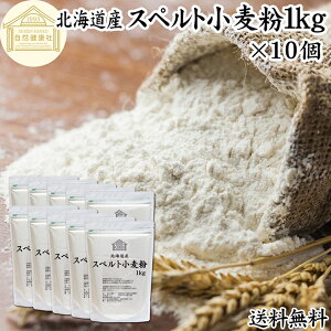 Xyg 1kg×10 Xyg Y kCY 100% ۑ Y Ñ㏬   Ñ㍒ fBP AM[ fBP e Ɩp p ِp p ޗ