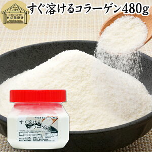 nR[Q 480g  pE_[ Tv Tvg R[Q yv`h ؔ R ᕪq IS z  n ς  N Hi e XLPA GCWOP