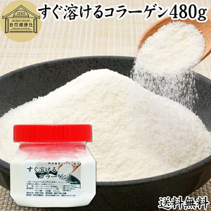 nR[Q 480g  pE_[ Tv Tvg R[Q yv`h  ؔ R ᕪq IS z  n ς  N Hi e XLPA G