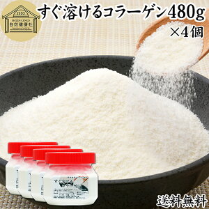 nR[Q 480g×4  pE_[ Tv Tvg R[Q yv`h  ؔ R ᕪq IS z  n ς  N Hi e XLPA