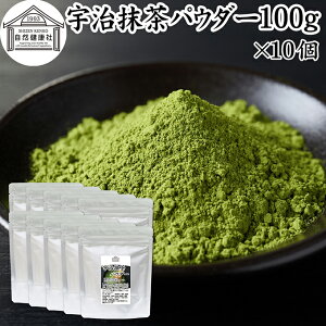 �F�������p�E�_�[ 100g×10�� �F������ ���� ���s ���� �������� �ޗ� �O�d ���� �ۑ��� ���Y�� ���� ���َq�p ���ٗp �Ɩ��p �A�����W �t���b�y ���e �J�v�`�[�m �t���y�`�[�m �O���[���e�B�[ 