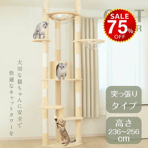 y75%OFFňl6398~zLbg^[ ˂ X FD L^[  ܂Ƃ  ^L R 萫Q LnEX lR Lp ^s  hmm-g01002