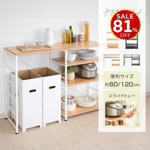 y81%OFFňl3762~zLb`JE^[ bN XChIt W Ԏd؂  k {I [ I 60×s40×85cm I ȒPg  [I ȃXy[X 