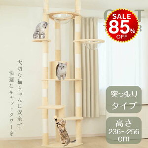 y85%OFFňl3839~zLbg^[ ˂ X FD L^[  ܂Ƃ  ^L R 萫Q LnEX lR Lp ^s  hmm-g01002