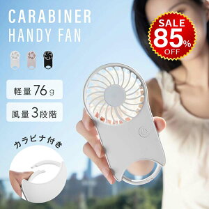 y85%OFFňl431~znfBt@ Jri 啗 É usb gѐ@ usb@  @ nfB[t@ |[^ut@ 莝@ ~j@ y 񂩂 