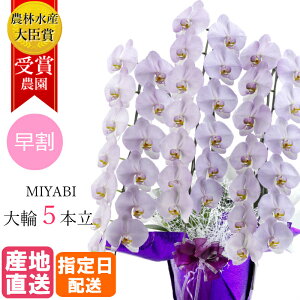 古希 胡蝶蘭の人気商品 通販 価格比較 価格 Com