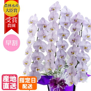 Ӓ  ݂ 3{ 27ֈȏ MIYABI / ō ֌Ӓ a j  Ӓ Mtg v[g 䒆  JXj җ J@ J   F  Z p[v Ê 