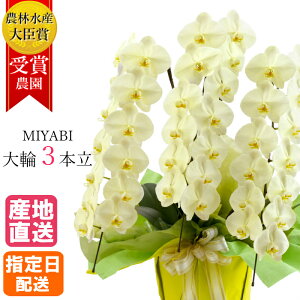 Ӓ   3{ 27ֈȏ MIYABI / ō ֌Ӓ ACj a j  Ӓ Mtg v[g  JXj I[v җ J@ J AC h] i F CG[ P