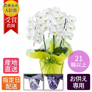 y䕧Oԁz   Ӓ 3{ 21ֈȏ /    ʖ V ʎ @v  d  @ {   zw  O   V~ ~