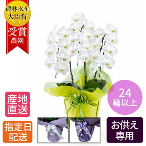 y䕧Oԁz   Ӓ 3{ 24ֈȏ /    ʖ V ʎ @v  d  @ {   zw  O    V~ 