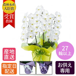 y䕧Oԁz   Ӓ 3{ 27ֈȏ /    ʖ V ʎ @v  d  @ {   zw  O    䋟 