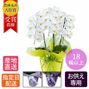 y䕧Oԁz  Ӓ 3{ 18ֈȏ /    ʖ V ʎ @v  d  @ {   zw  O   V~ ~