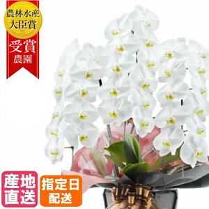 昇進祝い 生花の人気商品 通販 価格比較 価格 Com