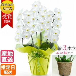 Ӓ  3{ 27ֈȏ  GR   j ACj a v[g 䒆  Mtg  j j j JXj JƏj ړ]j ACj Vzj zj j