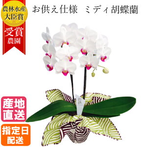 yX[p[SALEzy䕧Oԁz~fB Ӓ 2{ C~  4 sN / zCg    a s {  dp ~jӒ ~fBӒ ybg @    