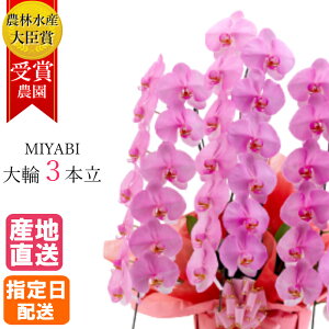 Ӓ   sN 3{ 27ֈȏ MIYABI / ō ֌Ӓ a j  Mtg v[g JXj I[v җ J@ J AC i ސE ܏j S I 100 100 