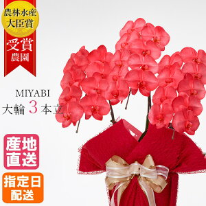 Ӓ  bh 3{ 27ֈȏ MIYABI / ō ֌Ӓ a j  j ACj  JXj I[v җ J@ J AC h] i Mtg v[g   ԐF