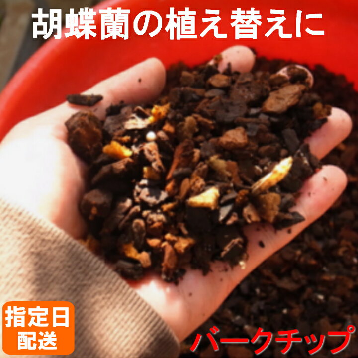 楽天市場 バークチップ 4l 胡蝶蘭 植え替え 農園直送 園芸 ガーデニング バーク チップ マイクロ胡蝶蘭 ミニ胡蝶蘭 ミディ胡蝶蘭 大輪胡蝶蘭 観葉植物 椎名洋ラン園 洋蘭 洋らん 植替え 植え換え 蘭のバーク 胡蝶蘭の土 蘭の土 虫が出にくい 室内用の土 室内栽培の土