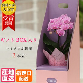 【母の日】マイクロ 胡蝶蘭 2本立 3号 2WAYBOX入り ピンク 花 母の日 鉢植え フラワー ギフト プレゼント 花鉢 蘭 お花 ミニ胡蝶蘭 ミディ胡蝶蘭 ミニ 小 ミディ かわいい お祝い お供え おしゃれ 女性 お母さん 母 お歳暮 祖母 誕生日プレゼント 誕生日 開店祝い 記念日