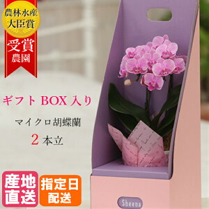 }CN Ӓ 2{ 3 2WAYBOX sN  A t[ Mtg v[g Ԕ ~jӒ ~fBӒ 킢 j    ꂳ Ε c a JX