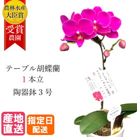 楽天市場 鉢植え 花 室内の通販