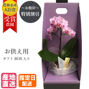y10%ItΏہz y䕧Oԁz}CNӒ 1{ 3 2WAYBOX sN       ʖ V  ʎ @v  d  @   l\  