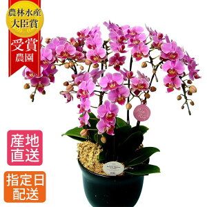 ~fB Ӓ 5{ 7 sN  A  Mtg v[g Ԕ    ~jӒ ~fBӒ 蕨  Ε  j җj hV̓ JXj JƏj ړ]j 