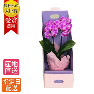 生花 誕生日 鉢植えの人気商品 通販 価格比較 価格 Com