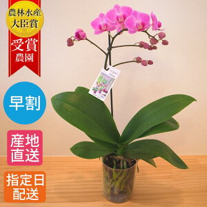 y10%ItΏہz ~fB Ӓ 1{ vX`bN|bg sN in your room  A Mtg v[gԔ ~jӒ JXj JƏj ړ]j 