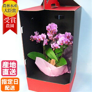 ~fB Ӓ 3{ 5 hXP[X sN /  A v[g Mtg ~jӒ ~fBӒ ~j  j S  A t[  a Mtg LO   