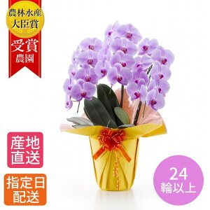 A  Mtg Ӓ wӒ  sN 3{ 24ֈȏx Ԕ j ACj v[g     蕨 ` 60  j j CeA  W N