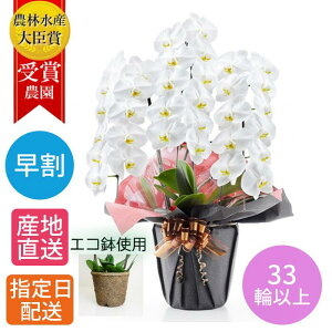 エコ 鉢 生花の人気商品 通販 価格比較 価格 Com