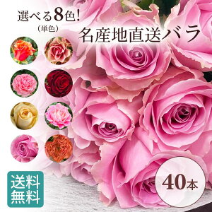 赤 黄色 花 農業資材 ガーデニング用品の人気商品 通販 価格比較 価格 Com